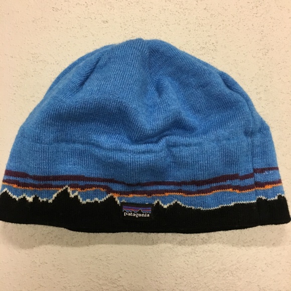 patagonia skull cap